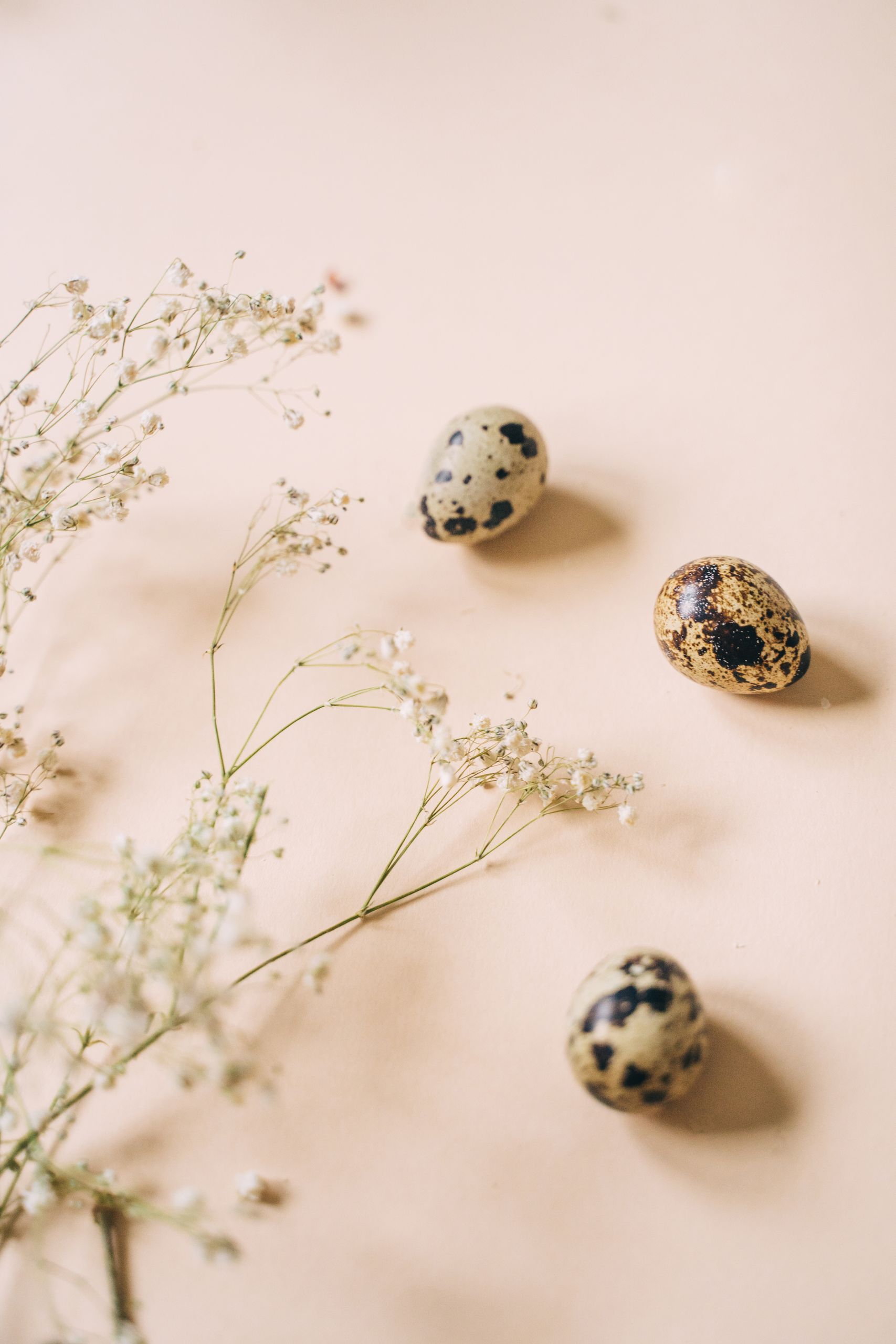 Elegant still life featuring quail eggs and delicate flowers on a soft pastel background